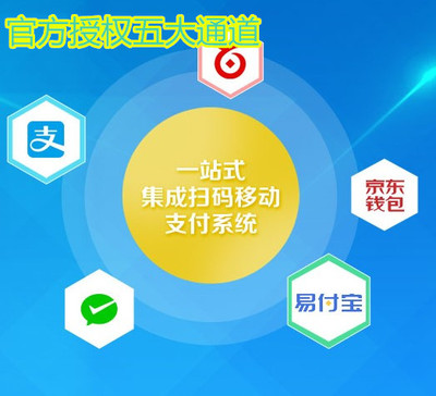 一站式支付代理與軟件代理服務(wù) 多通道解決方案驅(qū)動(dòng)數(shù)字化轉(zhuǎn)型